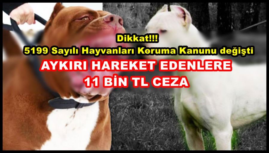 Aykırı hareket edenlere 11 bin TL ceza