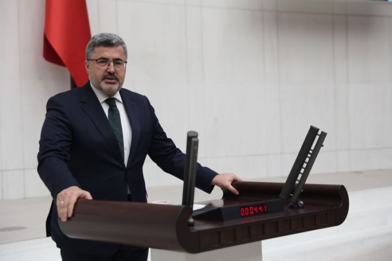 Milletvekili Ali Özkaya, Meclis