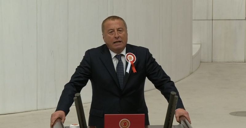 Milletvekili Hakan Şeref Olgun, Meclis