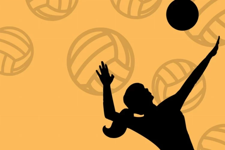 Şampiyonluk voleybol taleplerini arttırdı