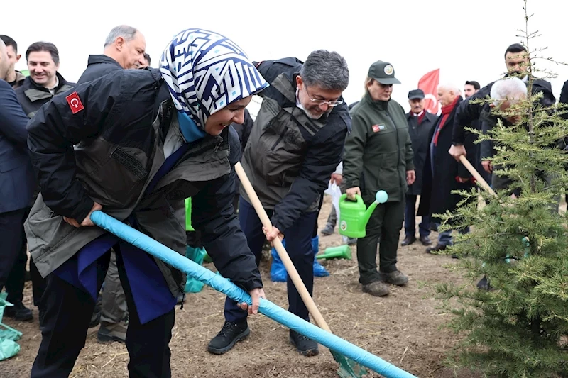 81 İlde Gazze İçin Umut Fidanları Dikildi