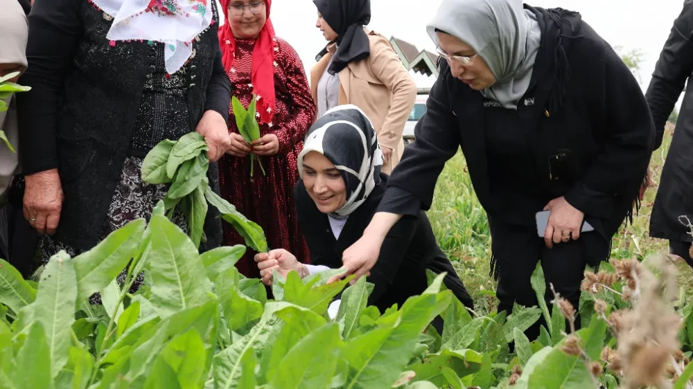 Afyonkarahisar Valisi Afyon