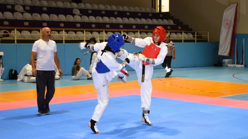 Taekwondo Müsabakaları Genç Yetenekleri Öne Çıkardı