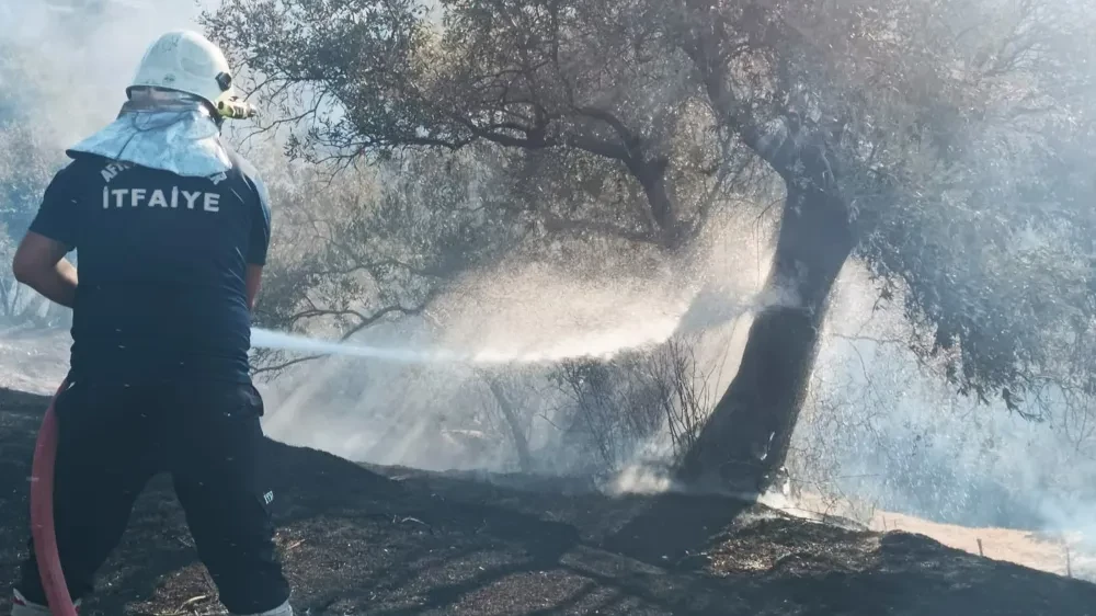 İtfaiye Ekipleri Bölgeye Ulaştı: Çalışmaları Sürdürüyorlar 